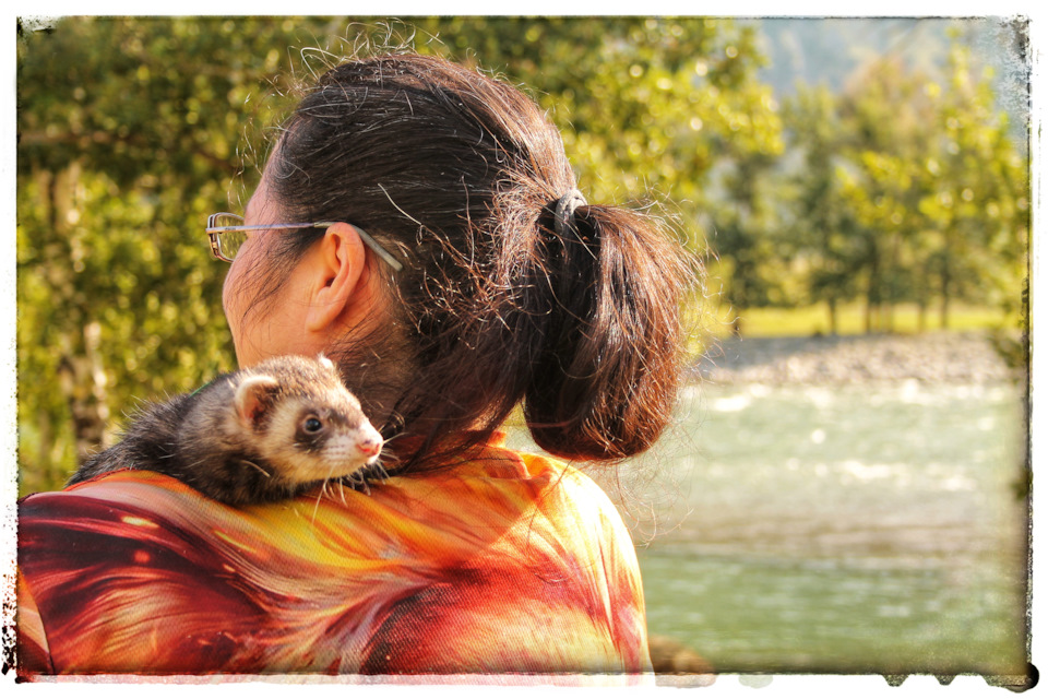температура тела малыша в 8 месяцев норма. температура детей до 1 года норма. нормальная температура тела у ребенка до 1 года. температура в 4 месяца форум. температура у новорожденного ребенка норма до 1 месяца.