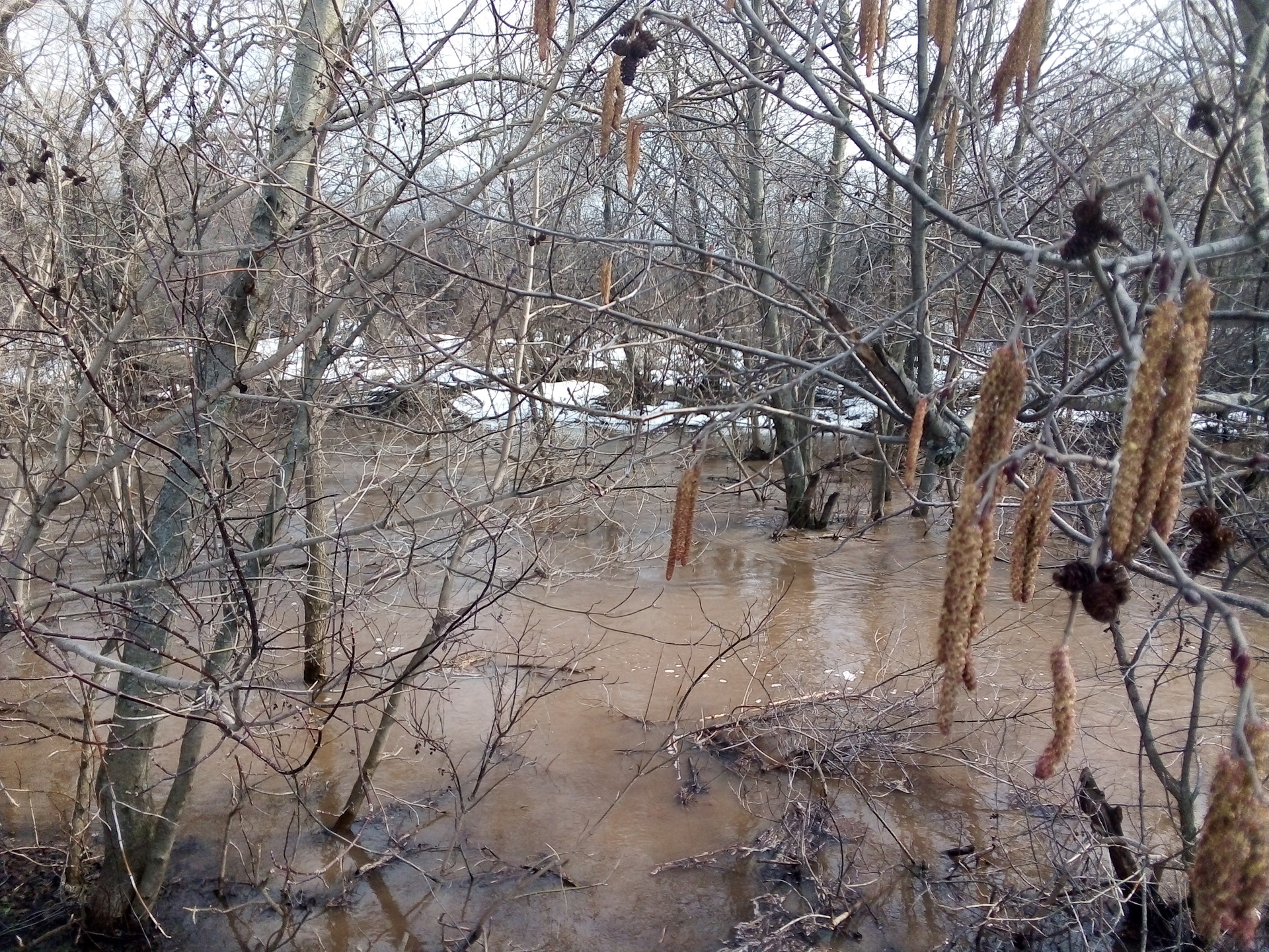 Гарантийный ремонт — Audi A5 Sportback (2G), 2 л, 2017 года | визит на ...