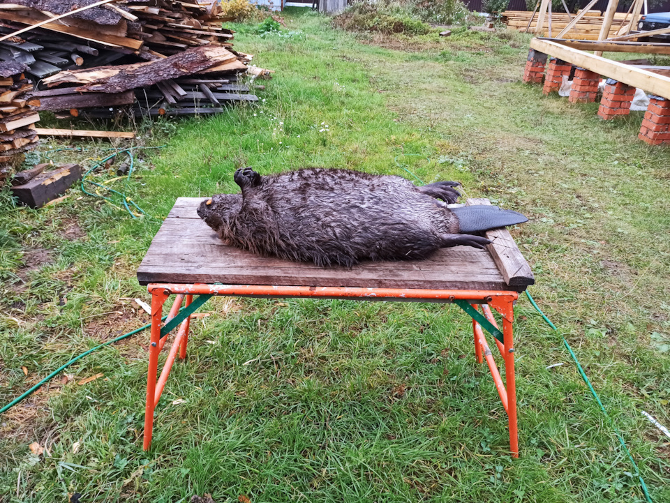 Вот такая вот обкатка. — УАЗ Patriot, 2,7 л, 2023 года | обкатка | DRIVE2