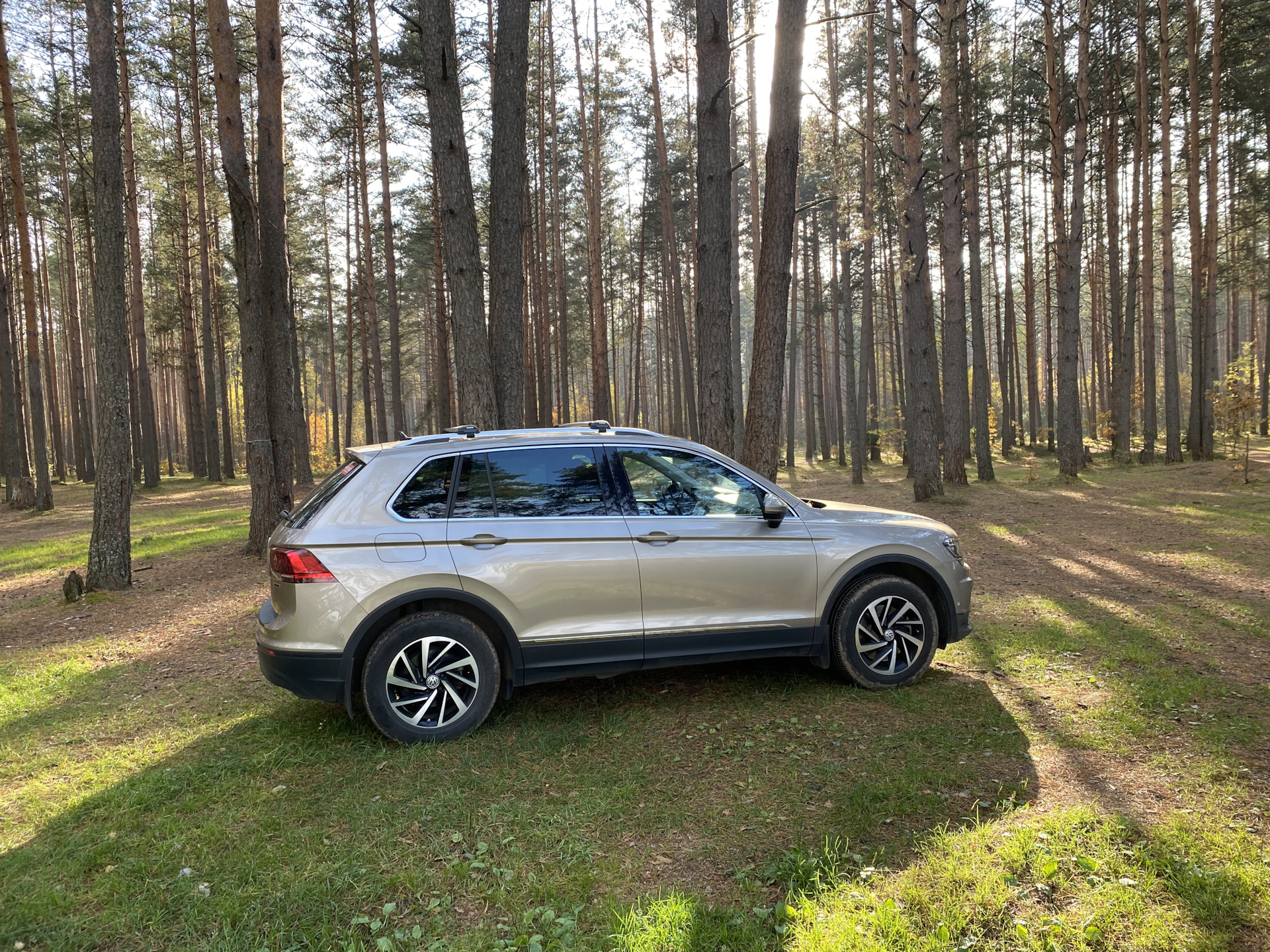 Посторонний звук при движении задним ходом — Volkswagen Tiguan (2G), 2 л,  2018 года | поломка | DRIVE2