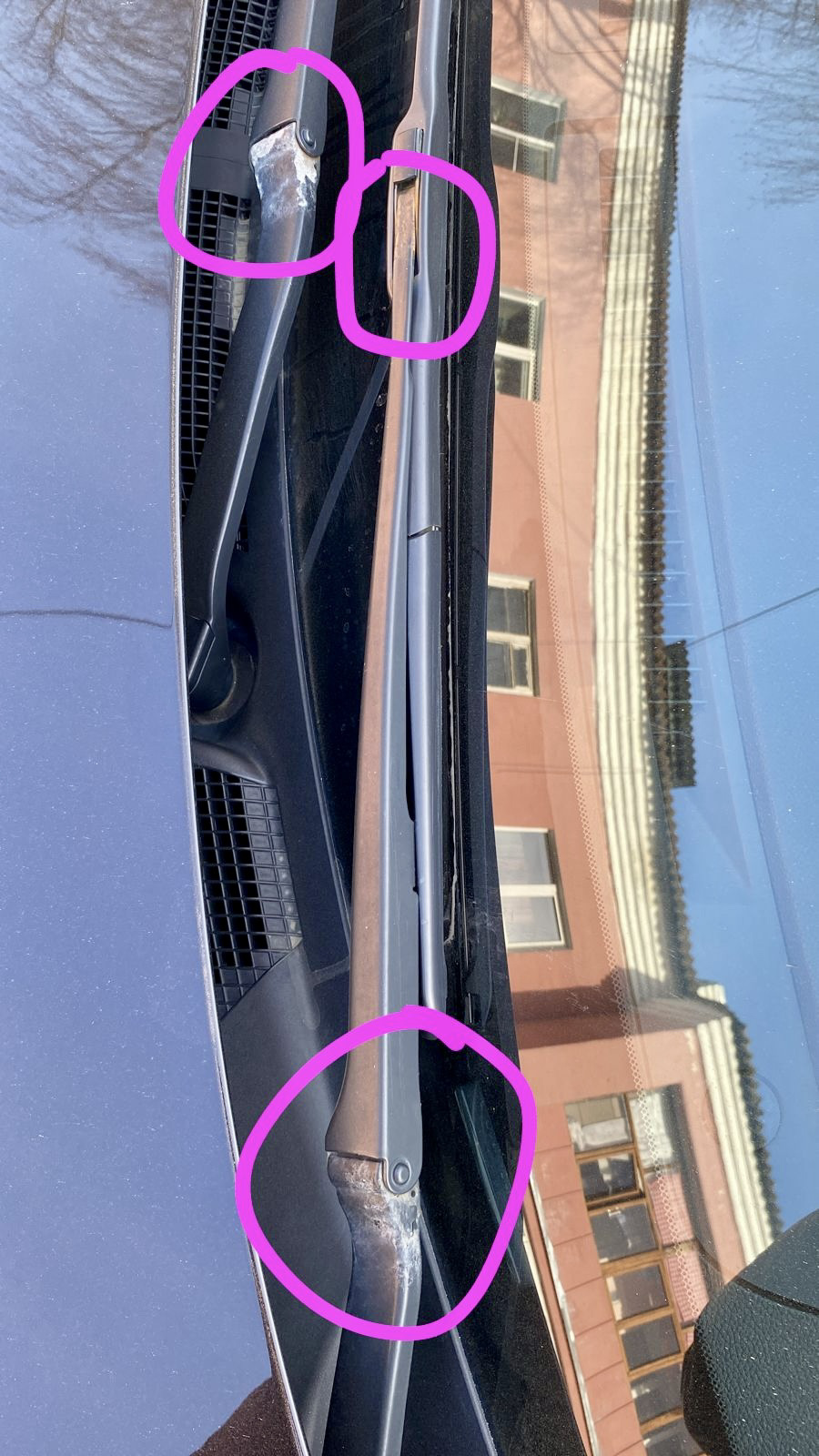 Фото в бортжурнале Infiniti G25