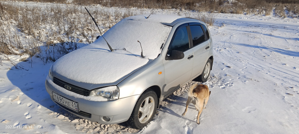 Снова катушка🤬 — Lada Калина Хэтчбек (1G), 1,4 л, 2008 года | поломка ...