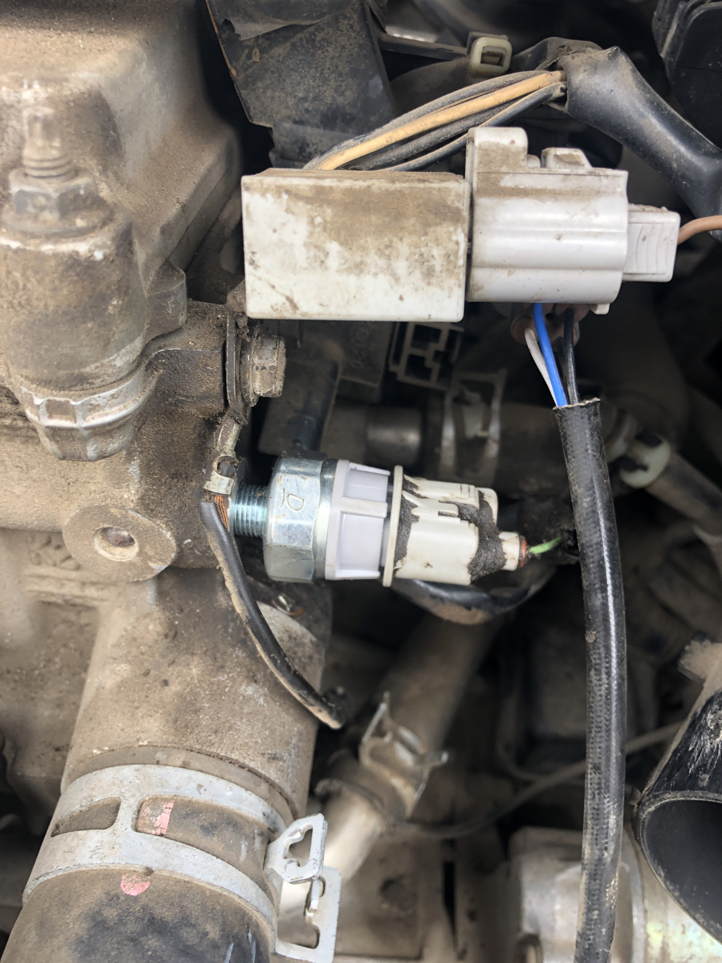 Замена датчика давления масла — Toyota Camry (XV40), 2,4 л, 2006 года ...