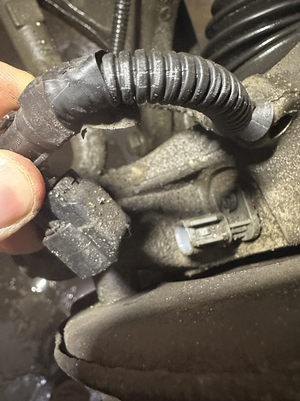 В супрорте стоит — Volvo S90 (2G)