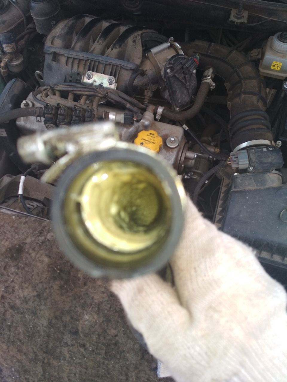 Конденсат в сапуне — Lada Гранта, 1,6 л, 2018 года | наблюдение | DRIVE2