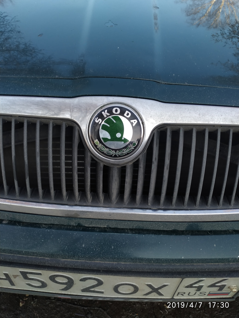 Значек — Skoda Octavia Combi A4 Mk1, 1,6 л, 1999 года | аксессуары | DRIVE2