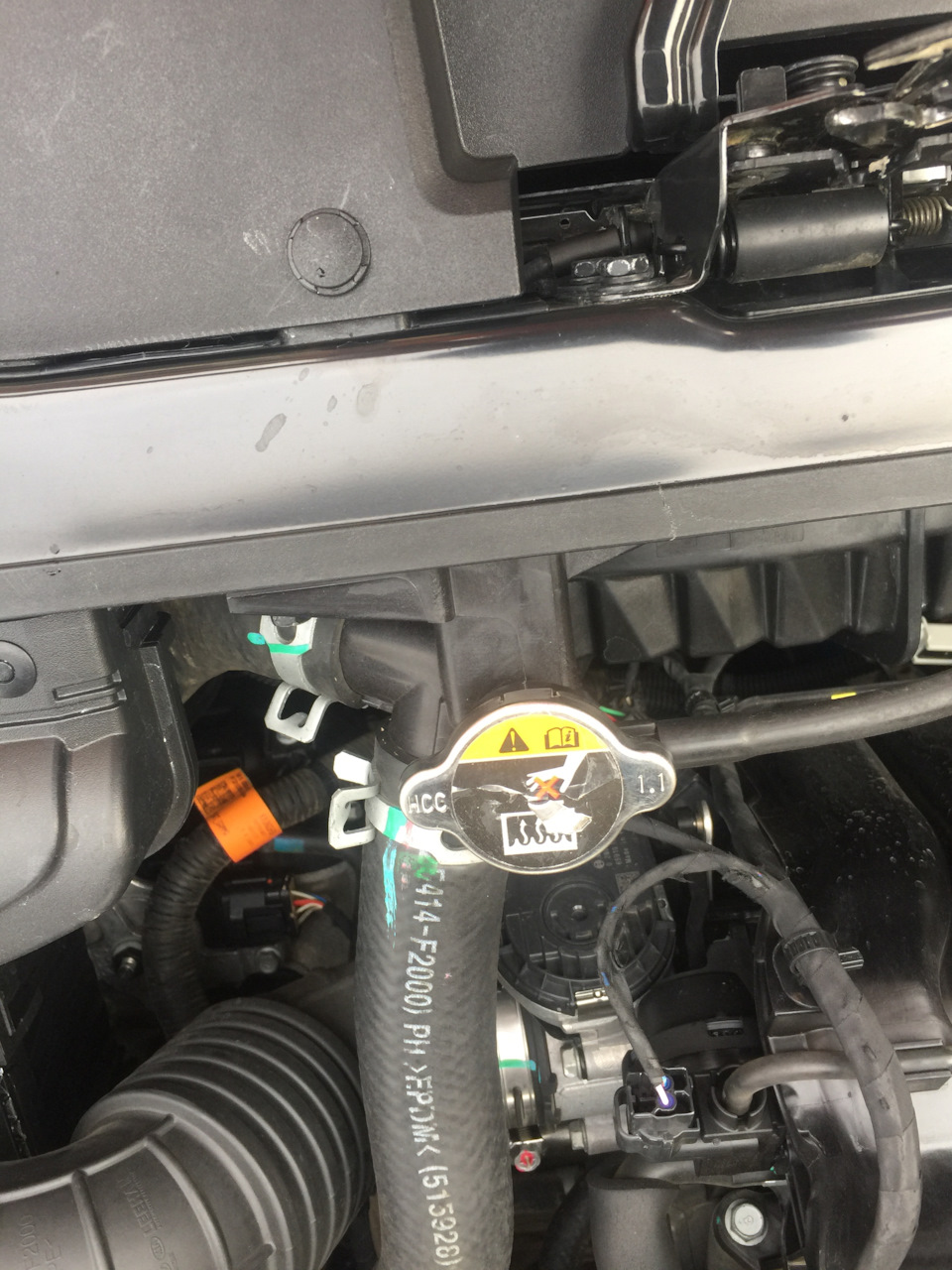 Фото в бортжурнале Hyundai Elantra (6G)