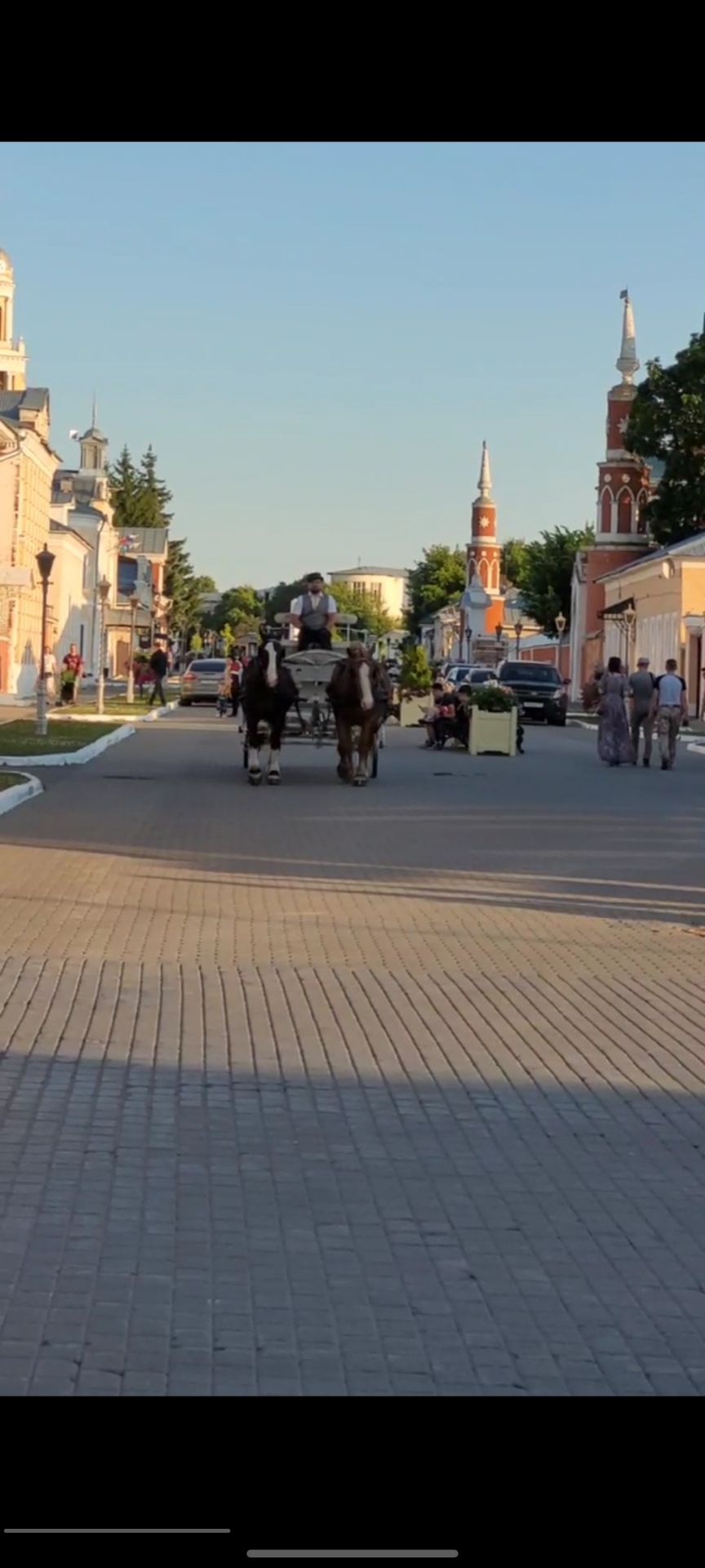 Коломна за 1 день. Путешествие на машине с собакой породы Корги. — Skoda  Rapid (2G), 1,4 л, 2022 года | путешествие | DRIVE2