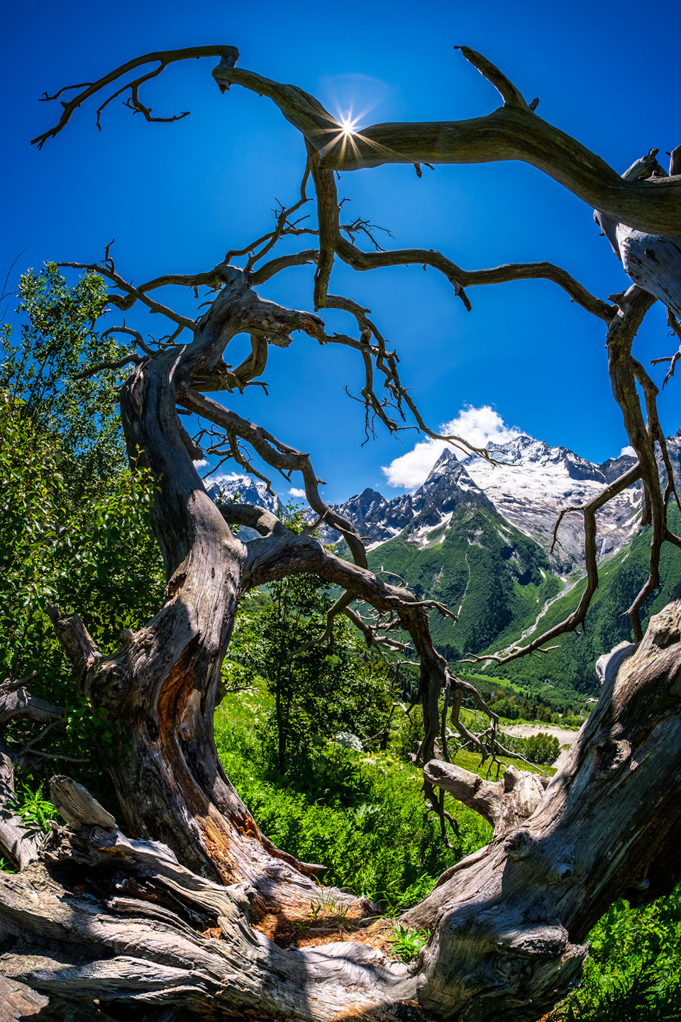 Фото в бортжурнале Renault Kaptur (2020)