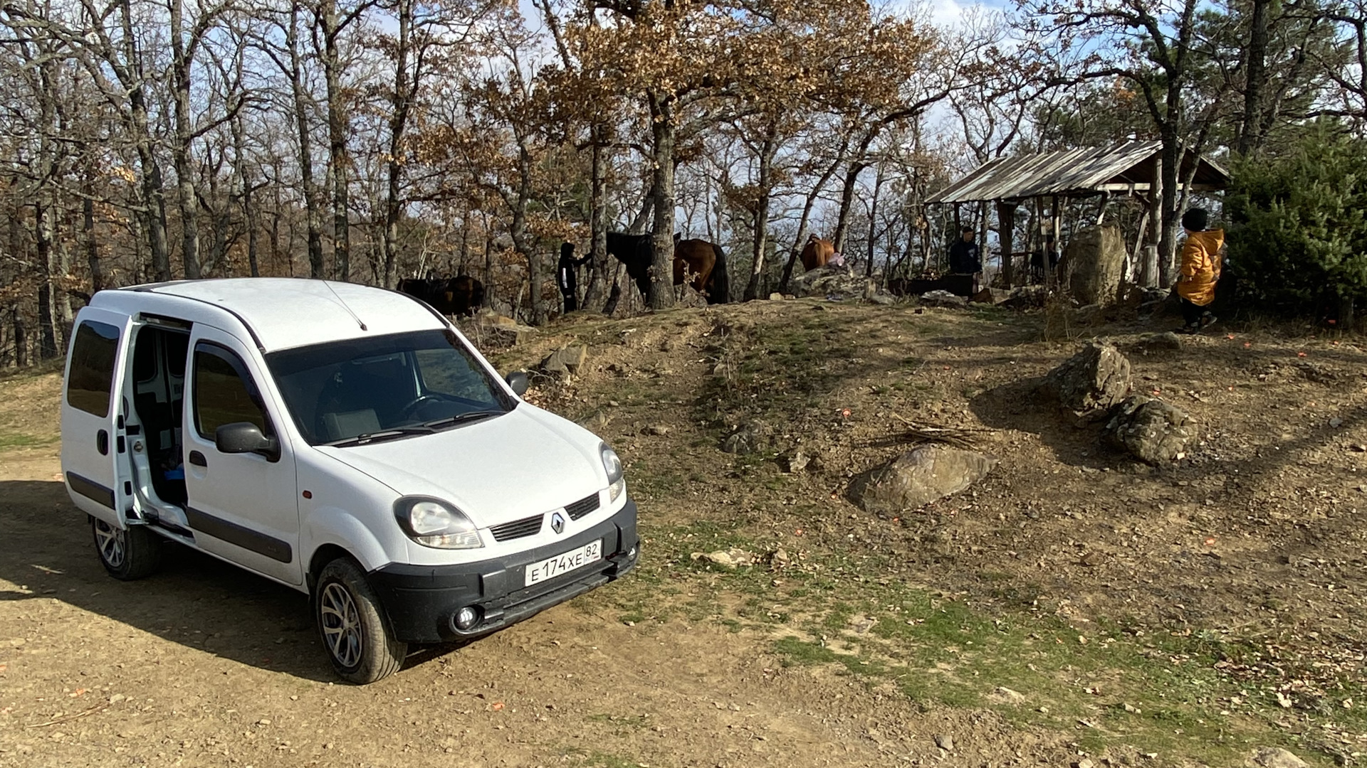 Купить Рено Кангу В Беларуси