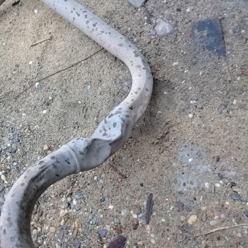 Заменил выхлопную трубу — Nissan Primera (P11), 1,8 л, 1999 года ...