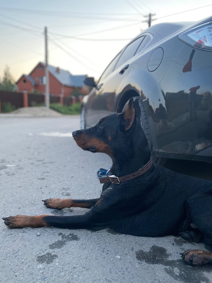 Ремонт рулевой рейки — Mazda 6 (2G) GH, 2 л, 2008 года | расходники ...