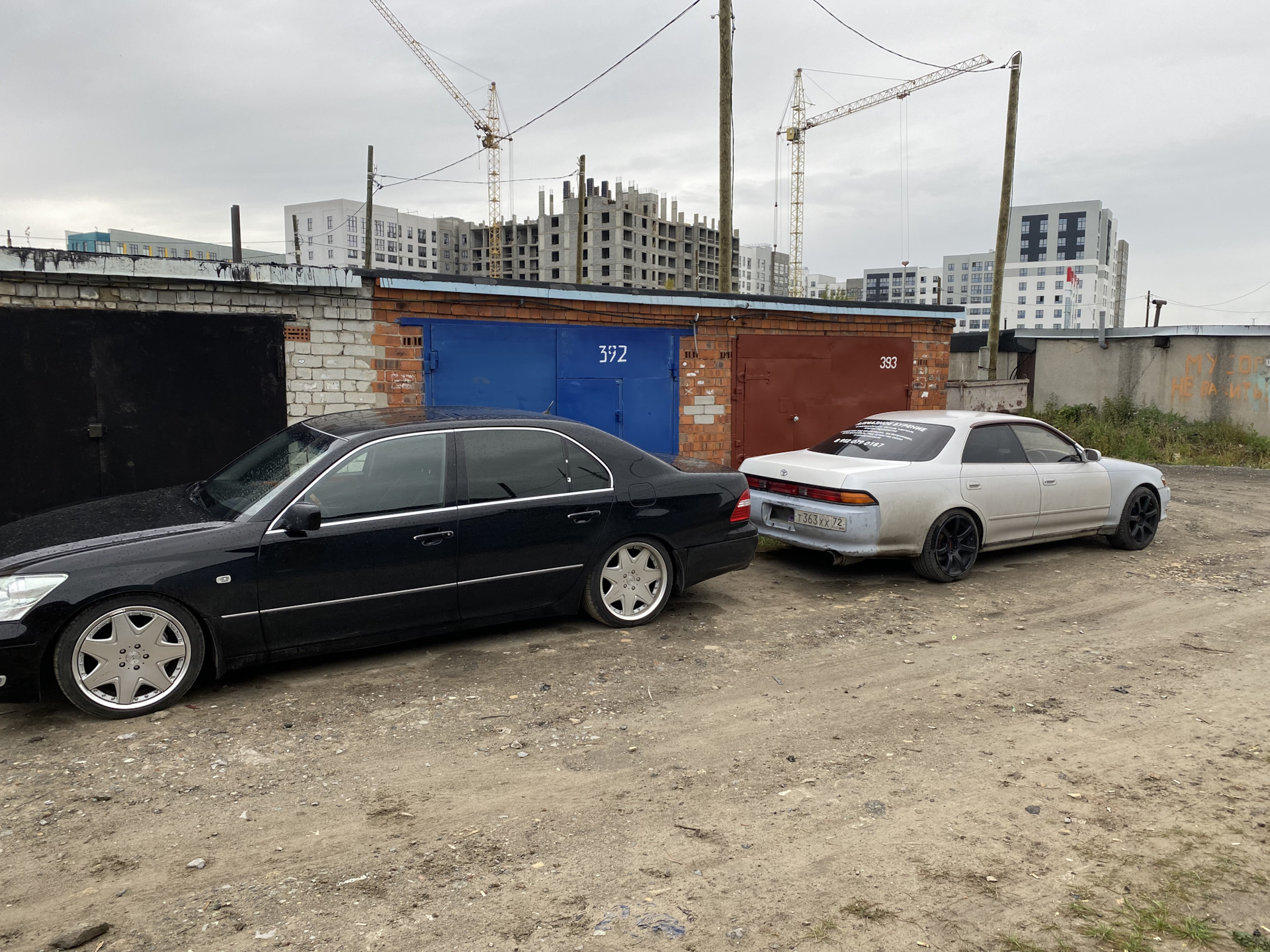 Ещё чуть-чуть и скоро в отпуск. Анекдоты с котами с картинками. Немного вылезть. Кошка нагадила. Выпадение шерсти у кошки.