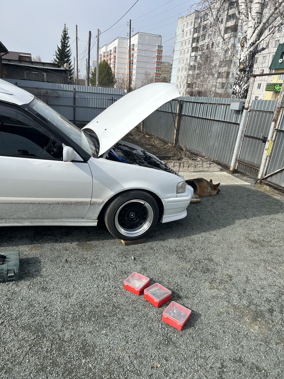 Летние диски и редкий ориг девайс на Carib — Toyota Sprinter Carib (111),  1,8 л, 1997 года | стайлинг | DRIVE2