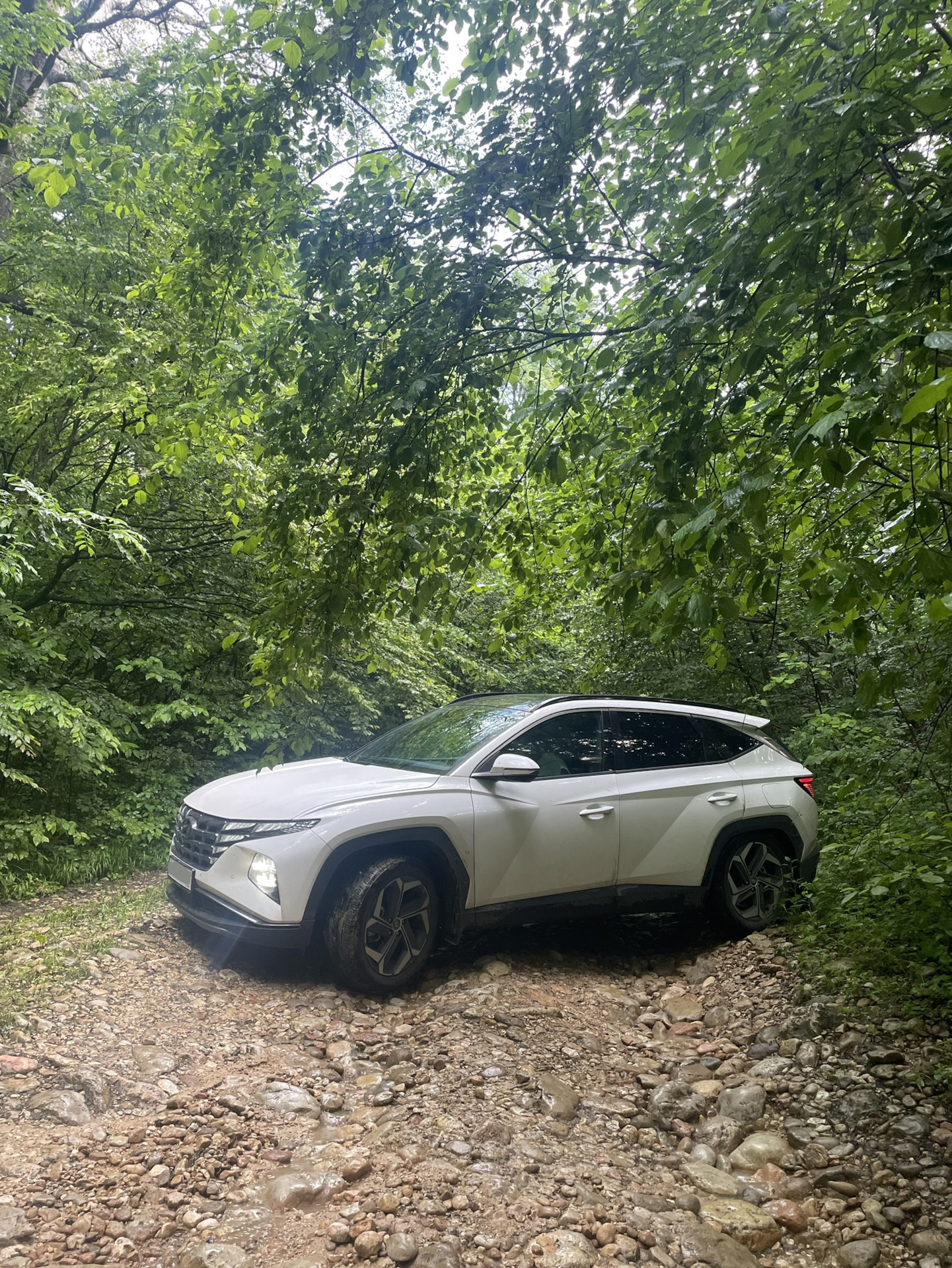 Ч1️⃣Новые тапки 🩴 и подготовка к зиме ⛄️ нужна помощь — Hyundai Tucson  (4G), 2 л, 2020 года | шины | DRIVE2