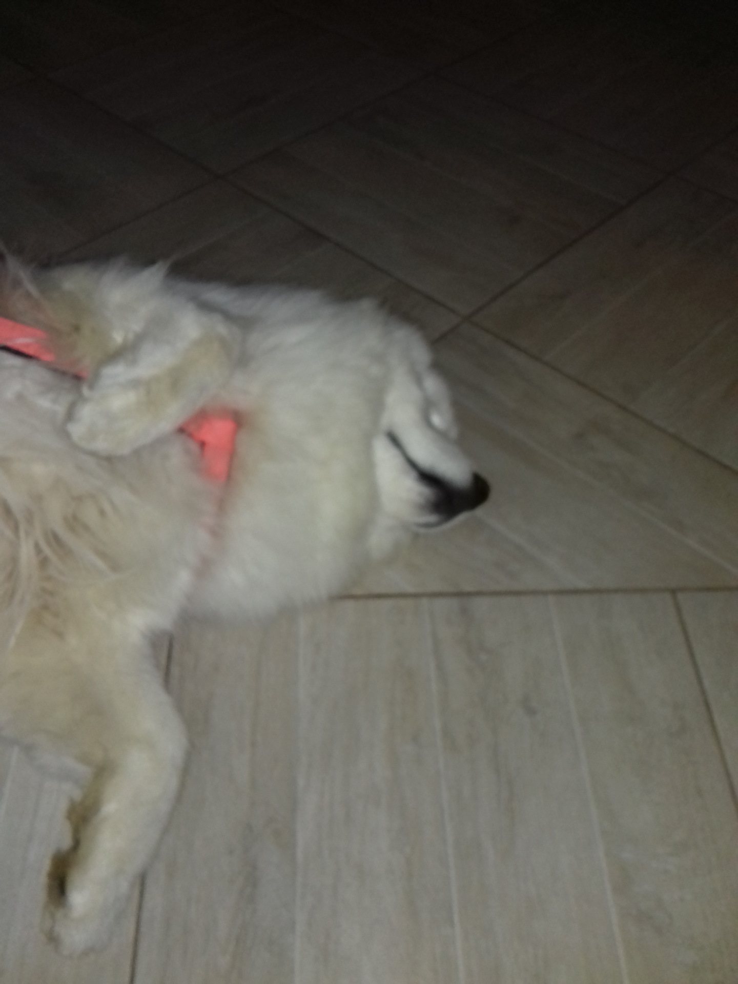 Замена гидриков. — Volvo XC90 (1G), 2,4 л, 2008 года | своими руками ...