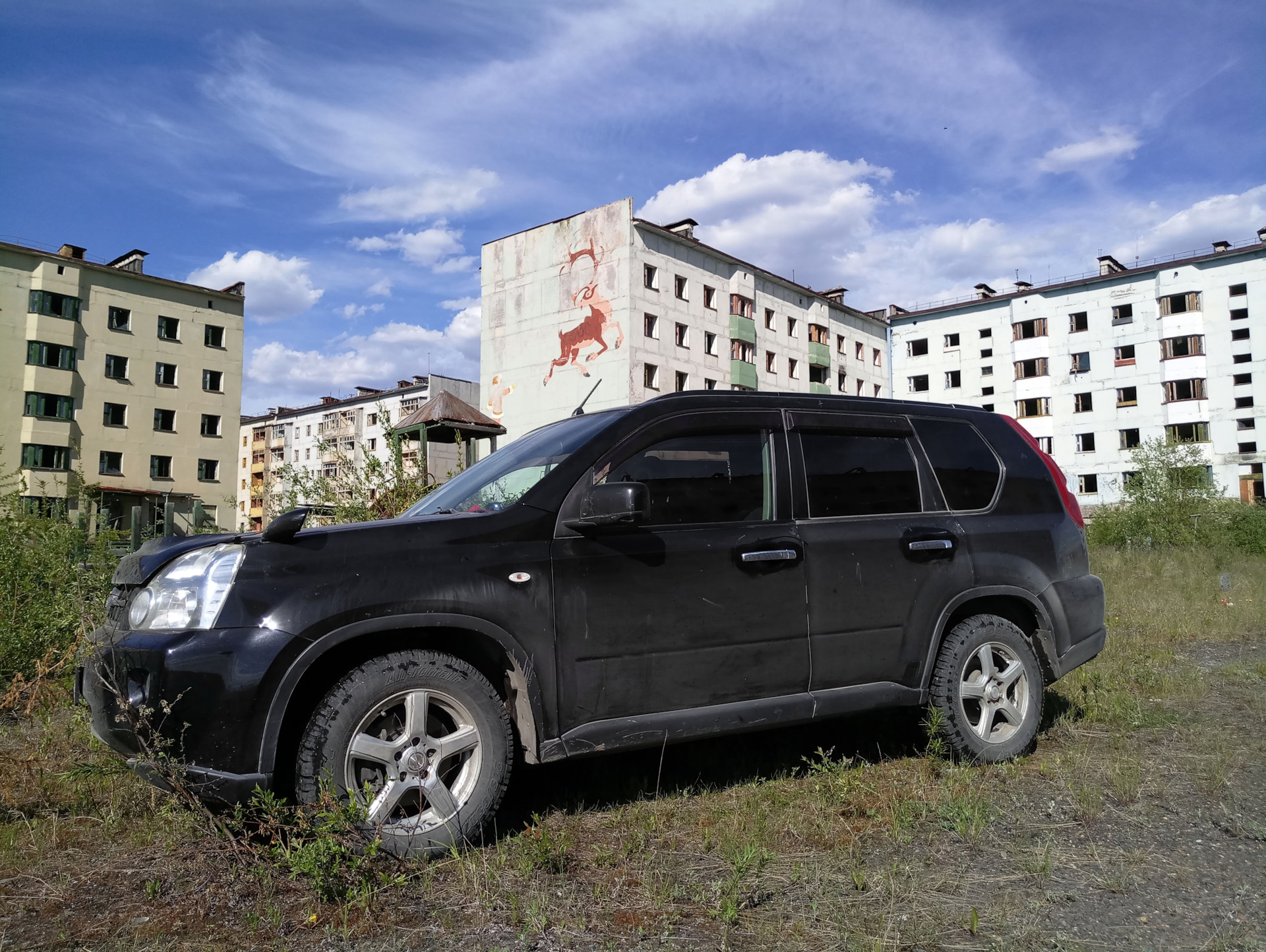 0. Поиск авто в Москве. Автоподбор.рф — Nissan X-Trail II (t31), 2 л ...