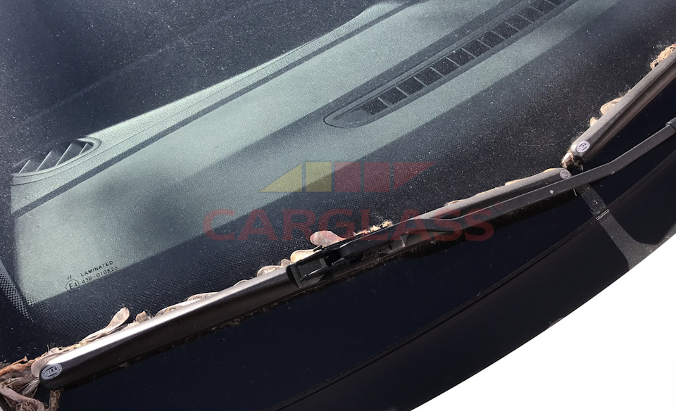 Щетки стеклоочистителя: как часто их менять? — Mobiscar Autoglass ...