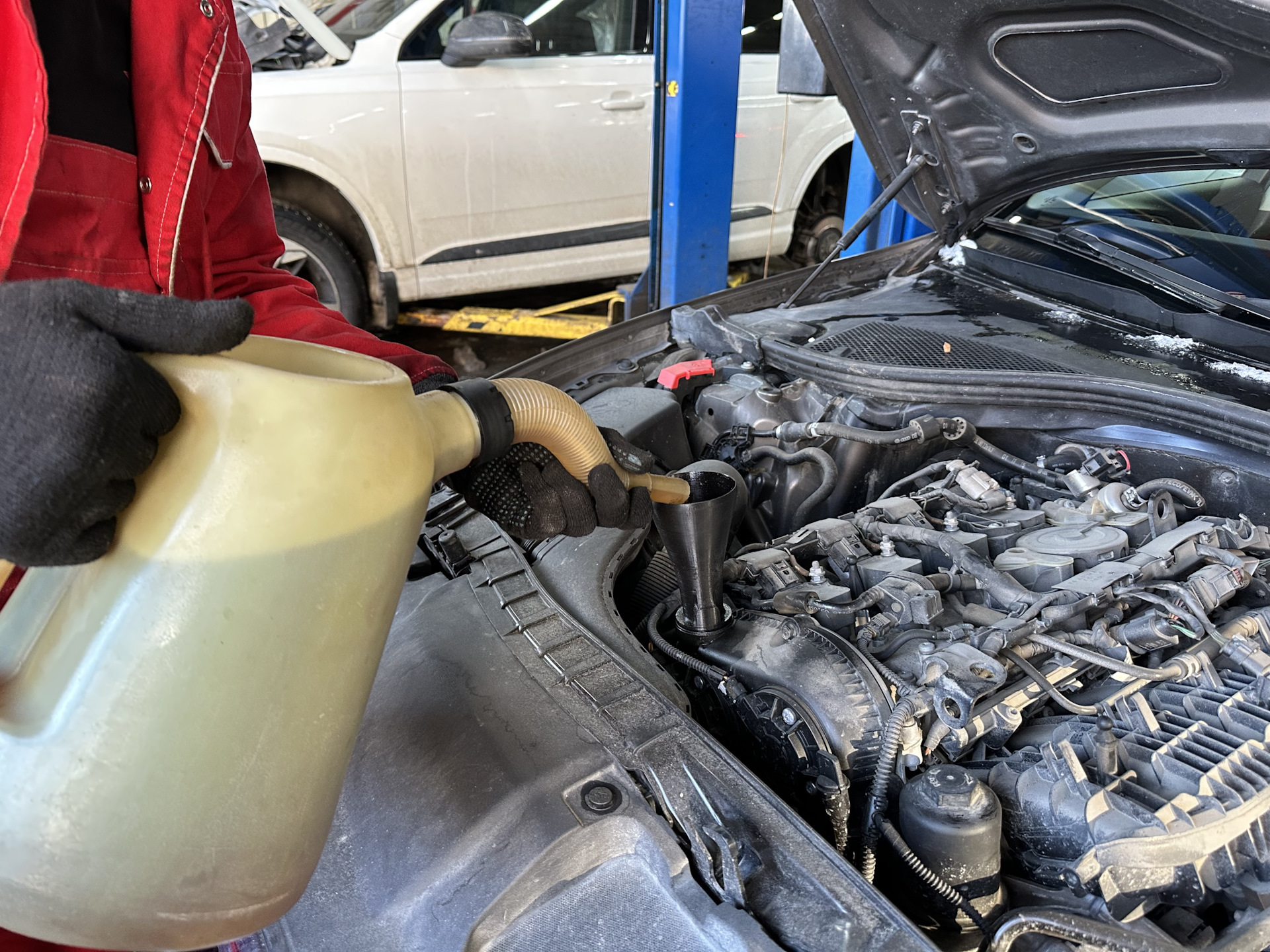 известные продукты с пальмовым маслом. какое масло запретили. масло выбор дня. какое масло запретили. рафинированное пальмовое масло.