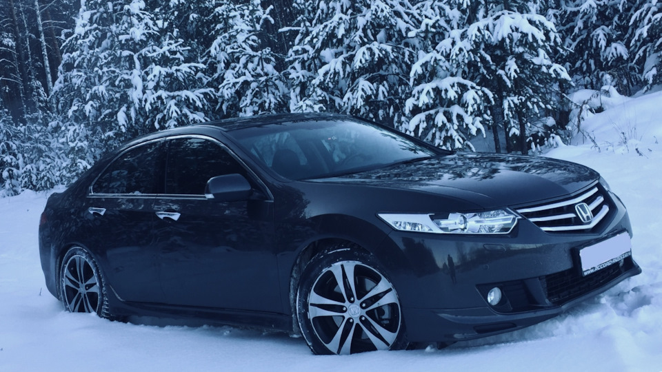Honda Accord аркадий