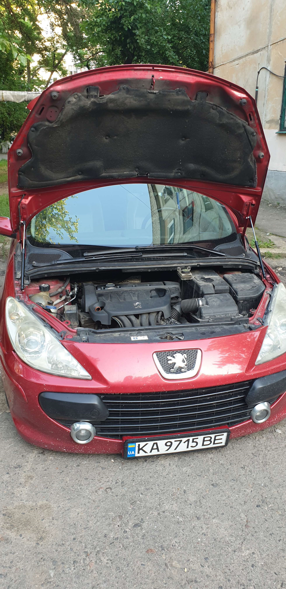 Амортизаторы (упоры) капота — Peugeot 307, 2 л, 2005 года | аксессуары ...