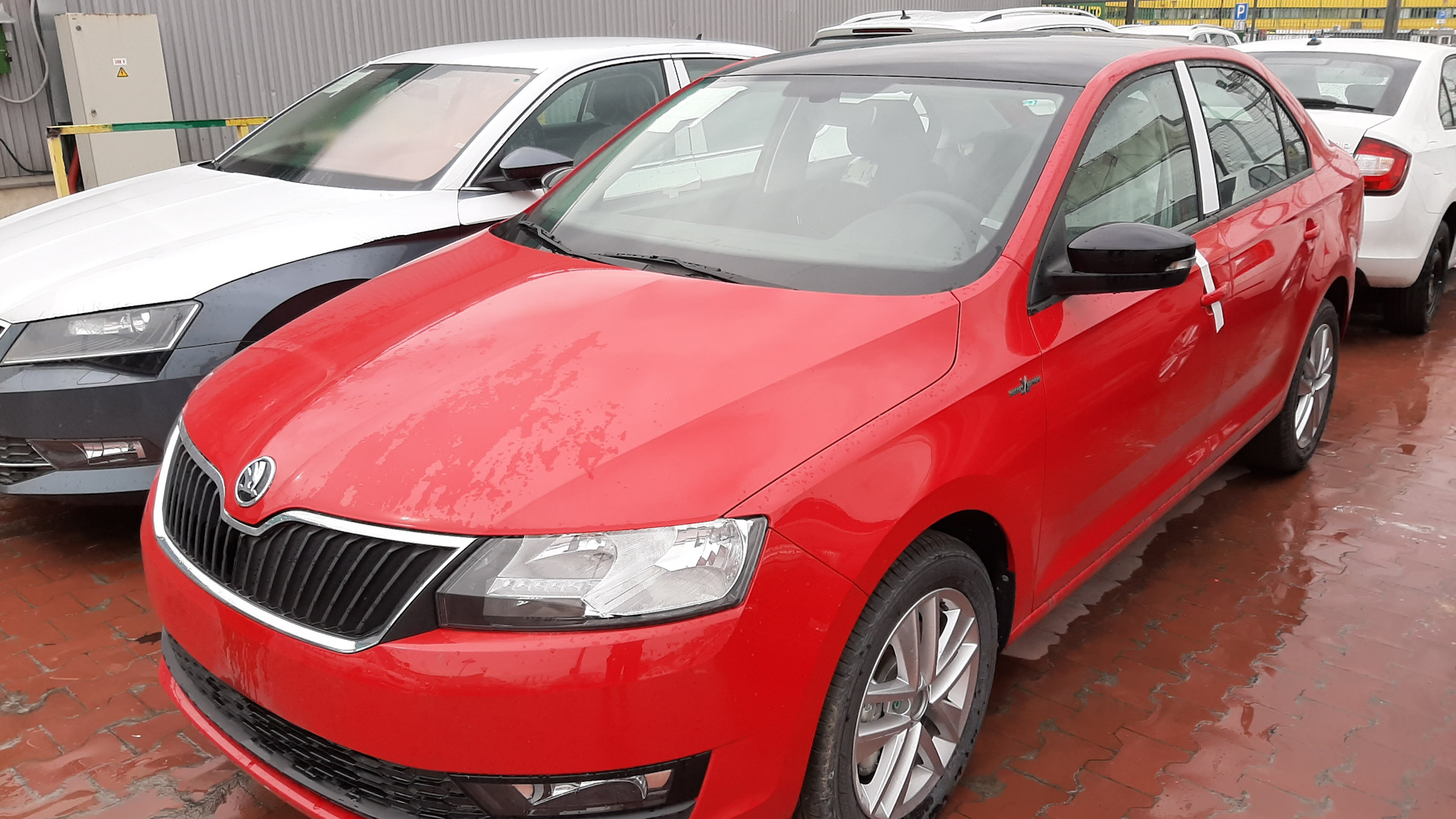 Skoda Rapid (1G) 1.4 бензиновый 2019 | 1.4 Red Devil на DRIVE2