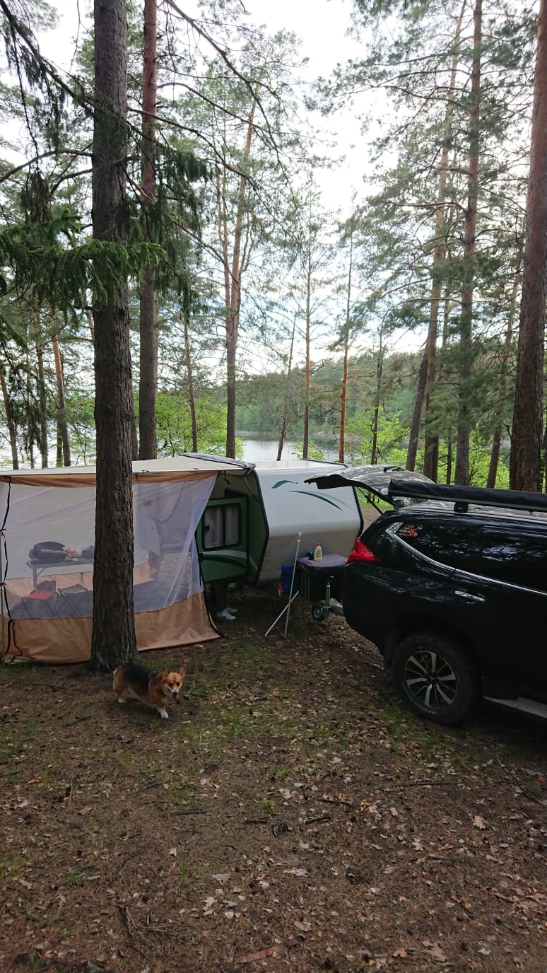 Фото в бортжурнале Mitsubishi Pajero Sport (3G)