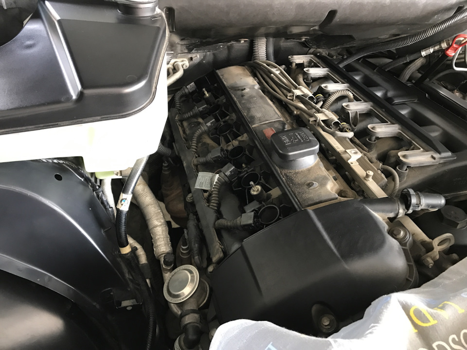 Замена прокладки клапанной крышки M54B30 — BMW X5 (E53), 3 л, 2004 года ...