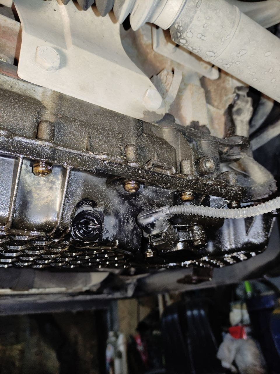 Фото в бортжурнале Skoda Octavia A7 Mk3