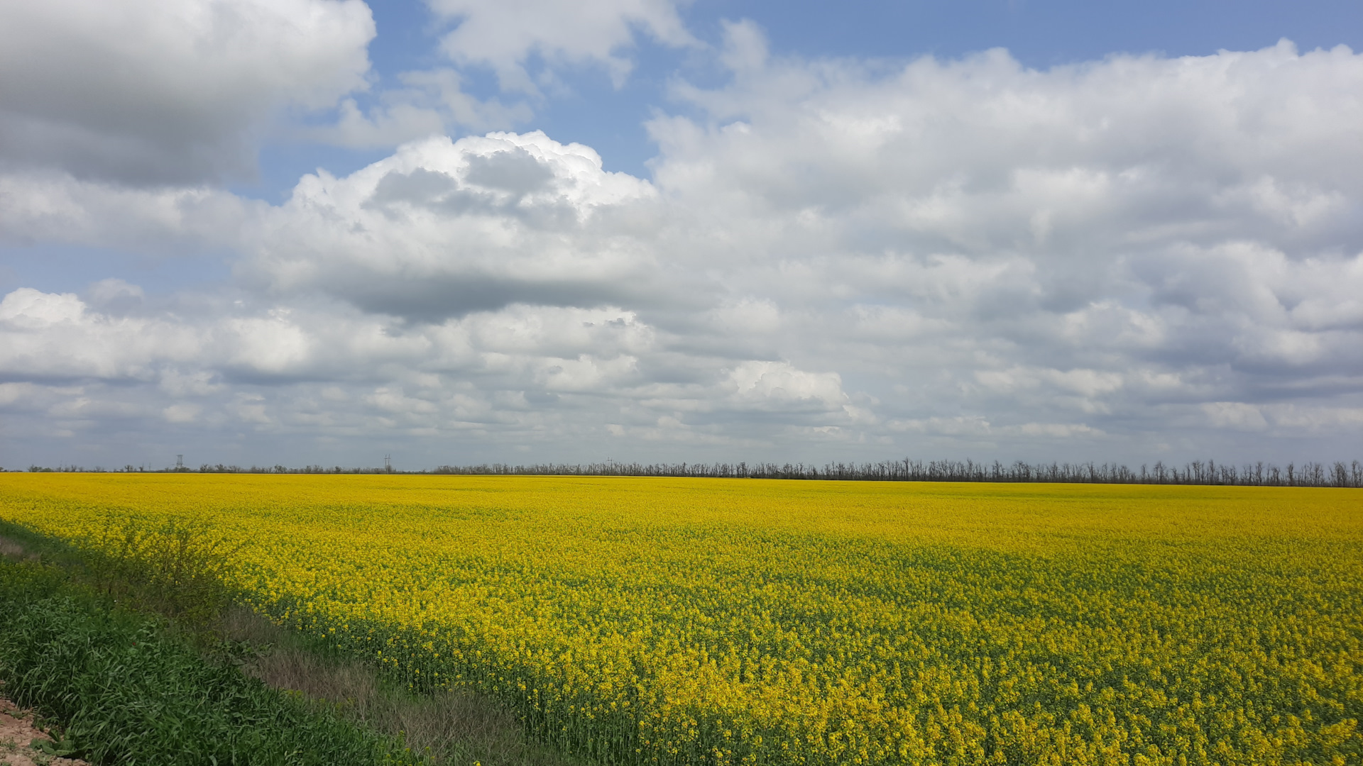 Путешествие по просторам Ставропольского края — Alfa Romeo Mi.To, 1,4 л