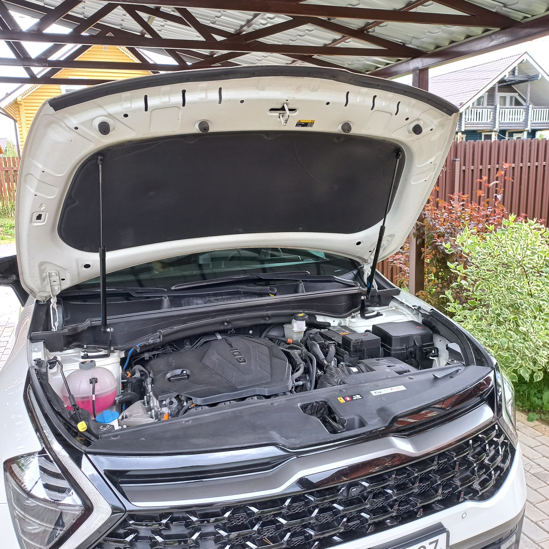 14. Газовые упоры капота — KIA Sportage (5G), 2,5 л, 2022 года | тюнинг ...