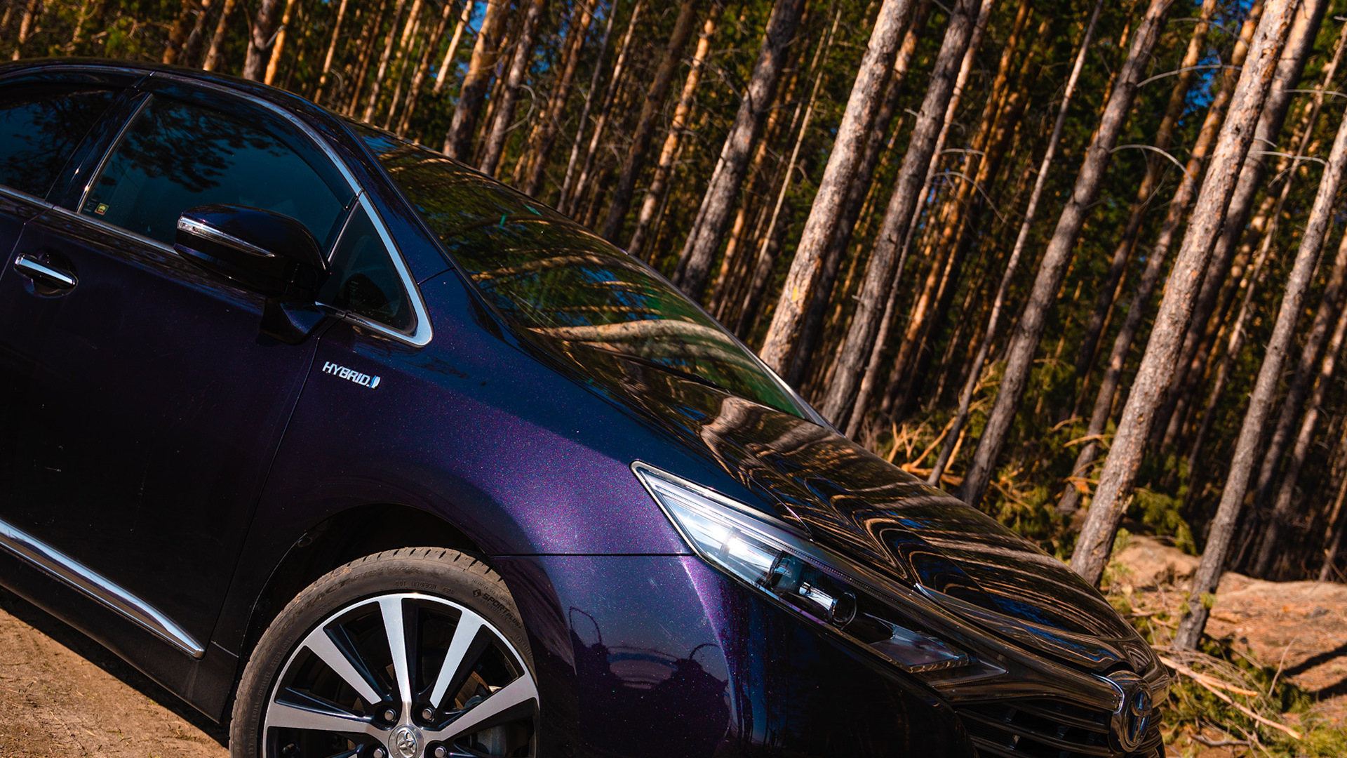 Toyota Sai (AZK10) 2.4 бензиновый 2015 | Зай на DRIVE2