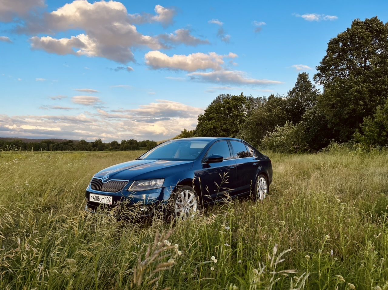 Skoda Octavia mk3