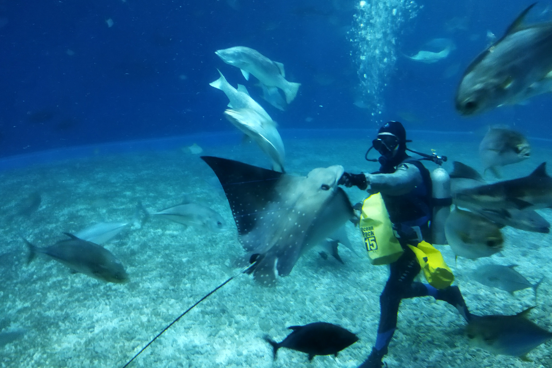 Как мы не доехали до Владивостока 200 километров, а потом доехали ...