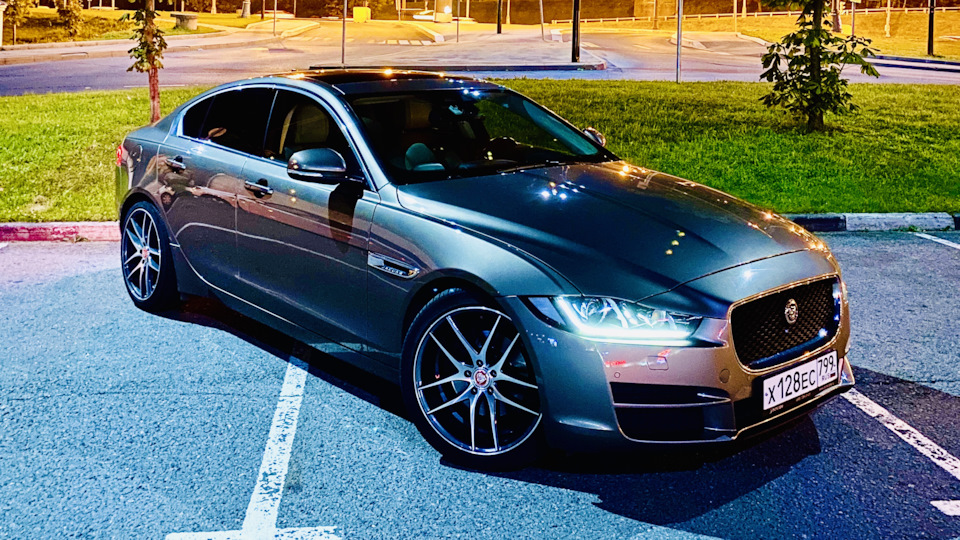 Jaguar XE Candy Cat