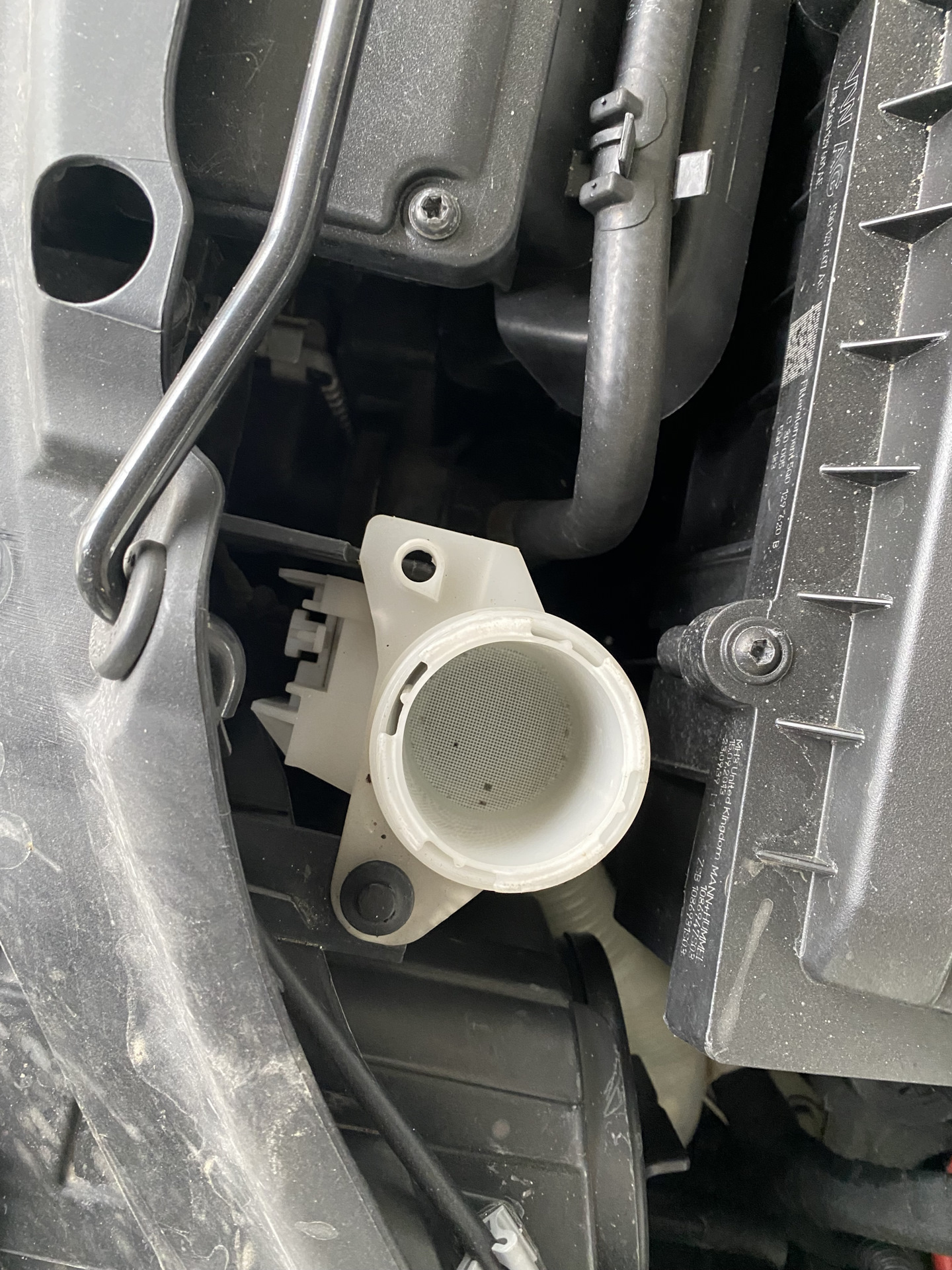 Крышка бачка стеклоомывателя — Skoda Octavia A7 Mk3, 1,8 л, 2013 года ...