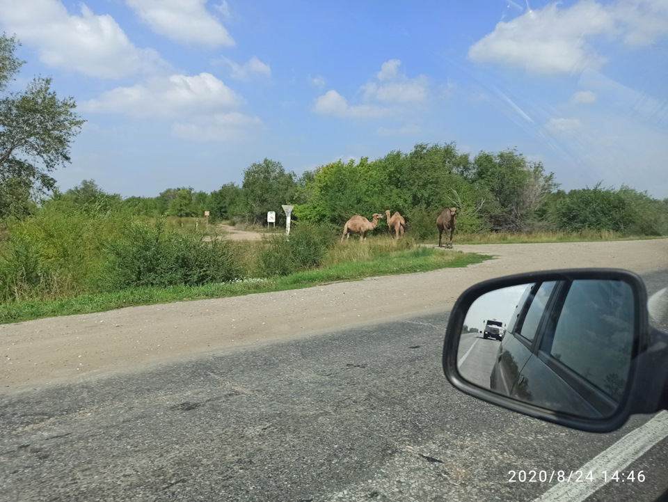 15000 пробега, продолжаю сравнение ларгусов. Установка аднройд — Lada ...