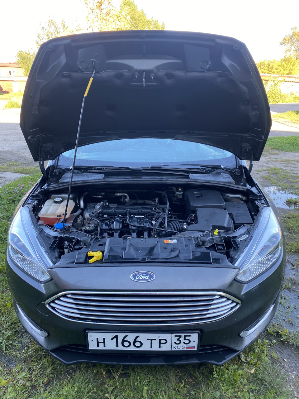 Фото в бортжурнале Ford Focus Wagon III