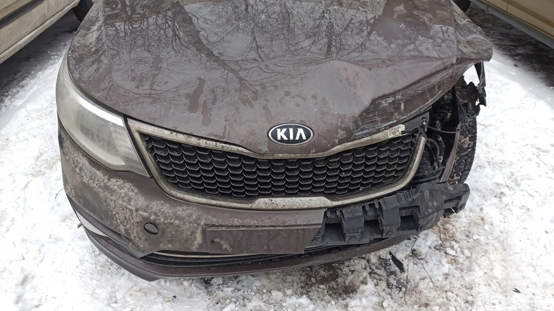 И такое бывает… — KIA Rio (3G), 1,6 л, 2016 года | ДТП | DRIVE2