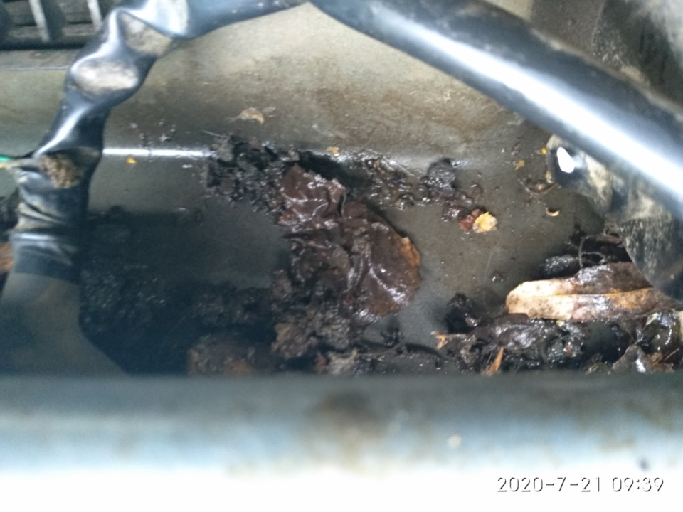 Шум и вибрация вентилятора печки — Renault Sandero 2G, 1,6 л, 2014 года ...