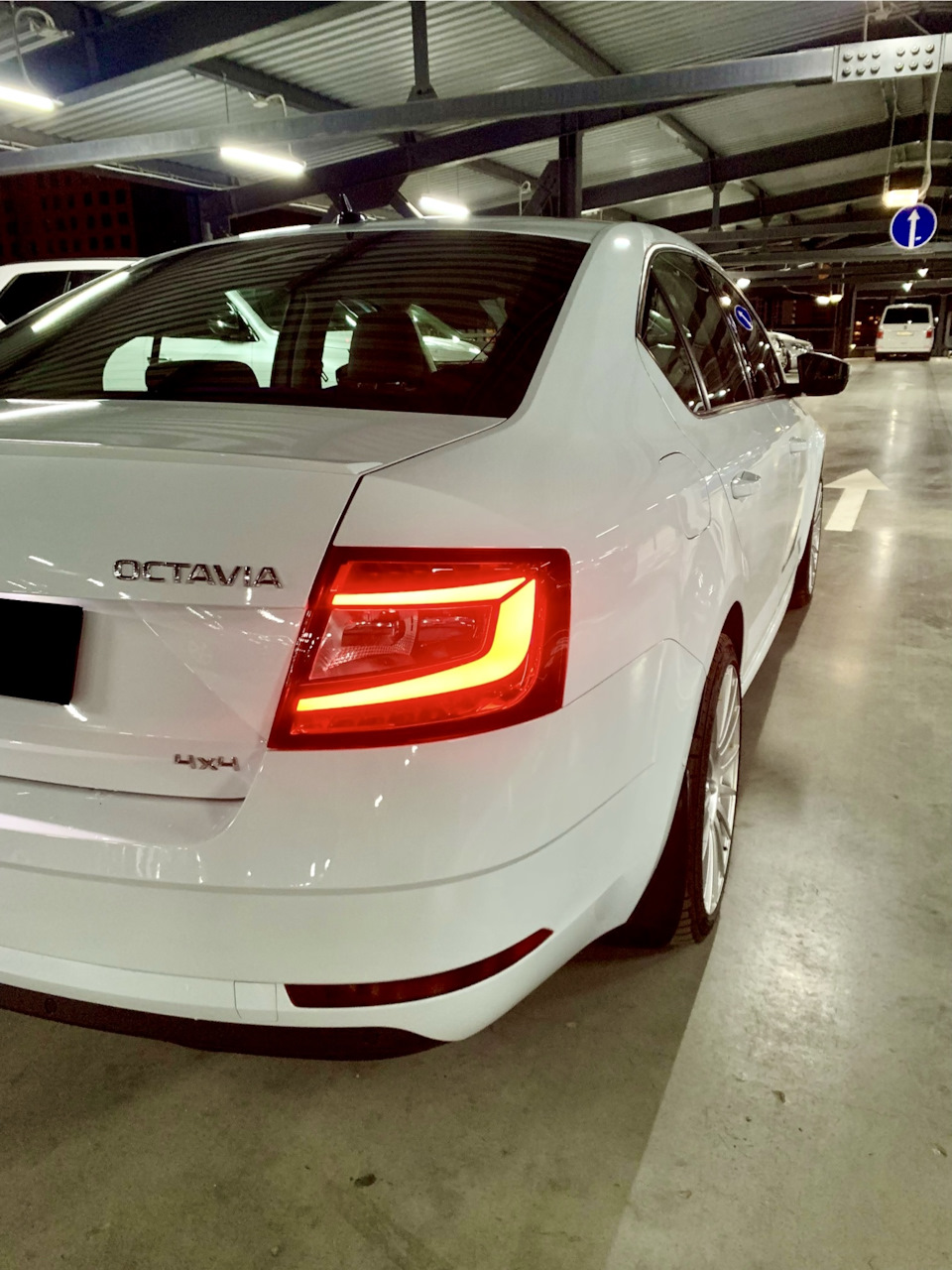 Фото в бортжурнале Skoda Octavia A7 Mk3