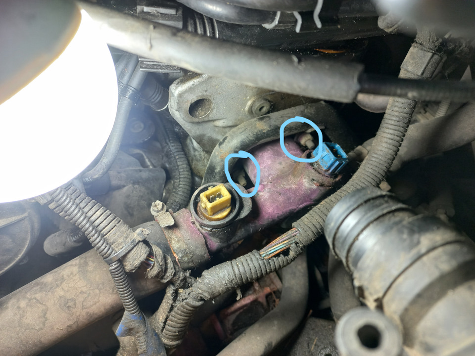 Фото в бортжурнале Volkswagen New Beetle