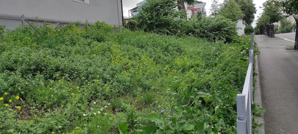 Фото в бортжурнале Lada Largus Cross