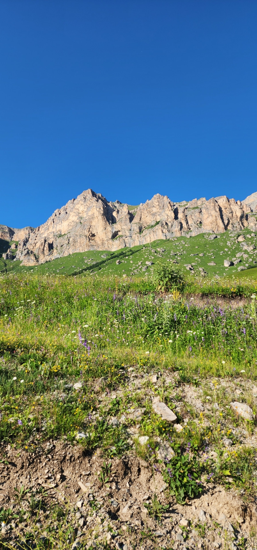 Фото в бортжурнале Mitsubishi Pajero Sport (3G)