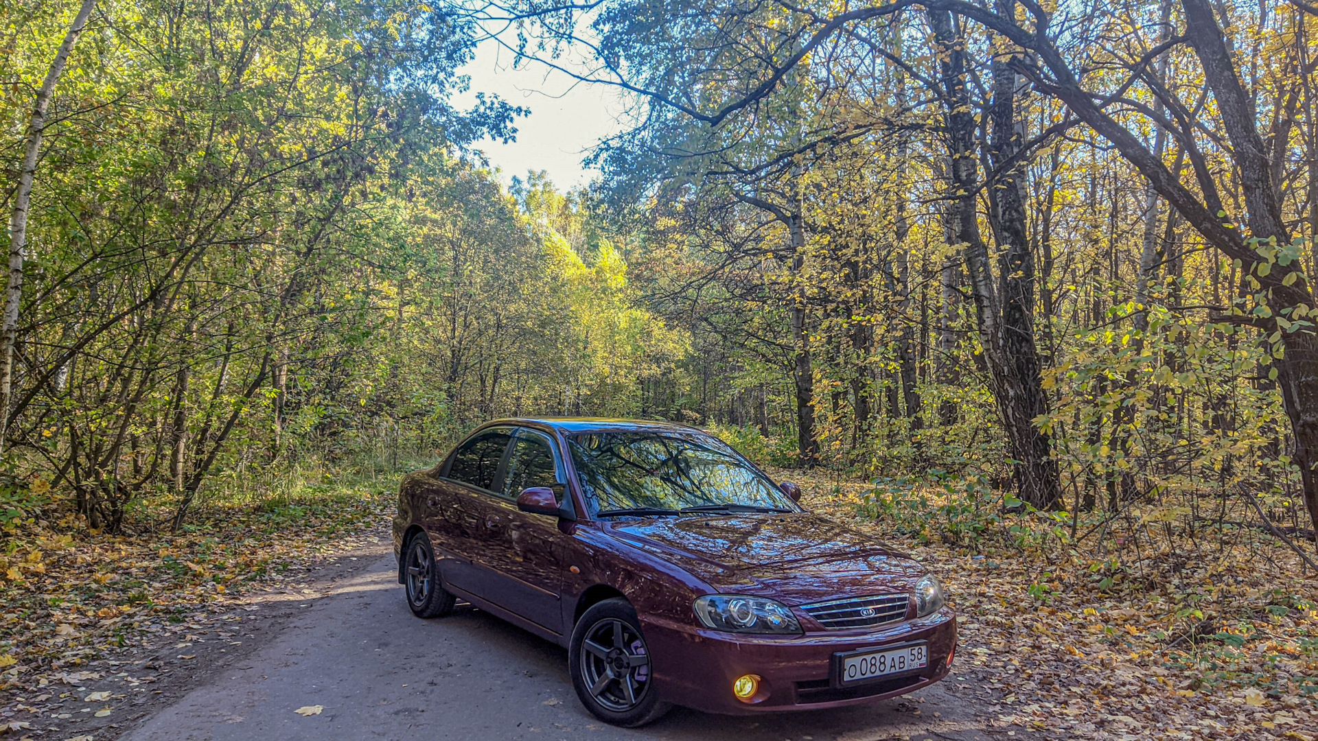 KIA Spectra 1.6 дизельный 2006 | Вишня 🍒 на DRIVE2