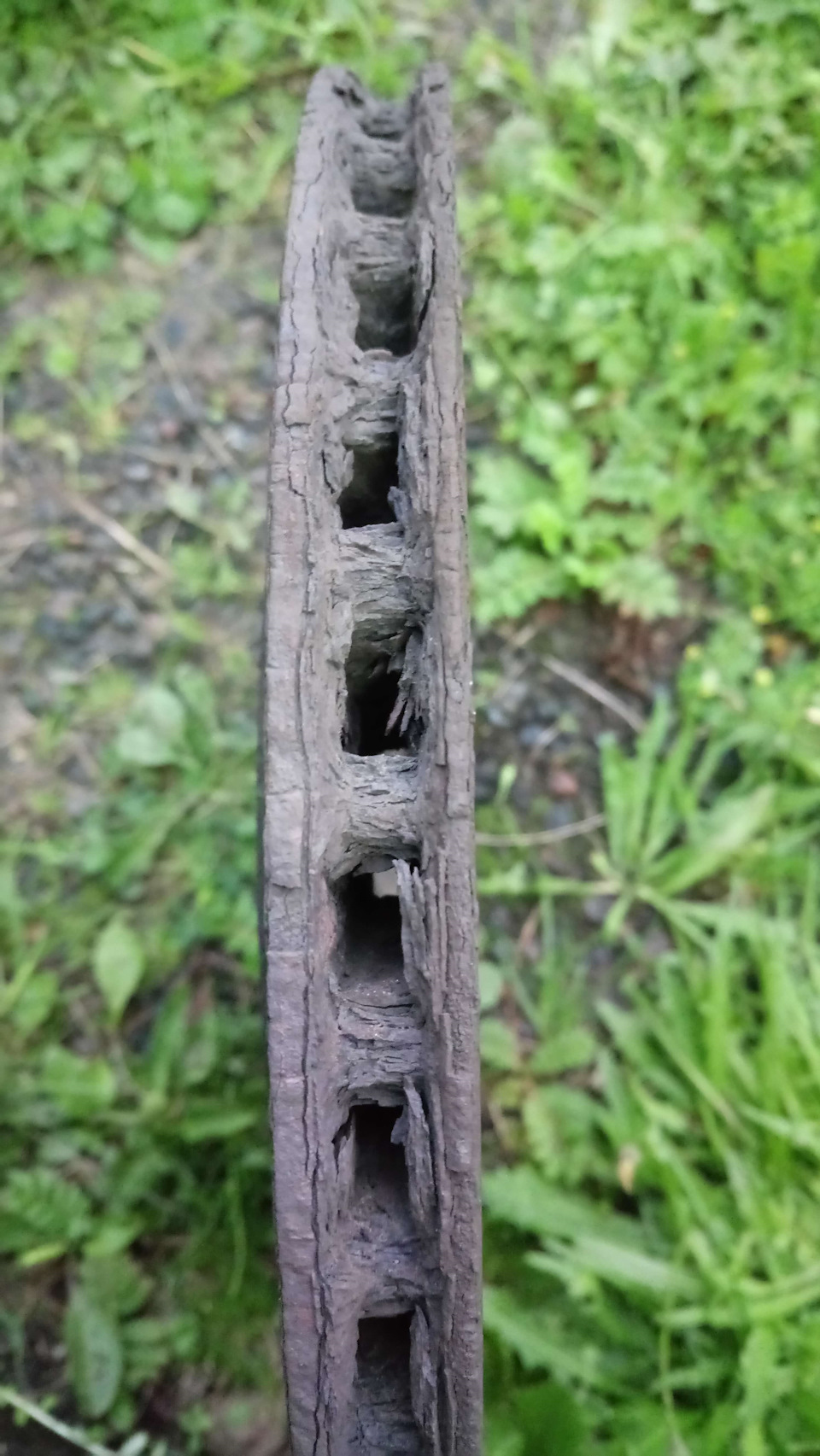 Внутренняя сторона диска заметно тоньше — Chrysler Sebring (2G)