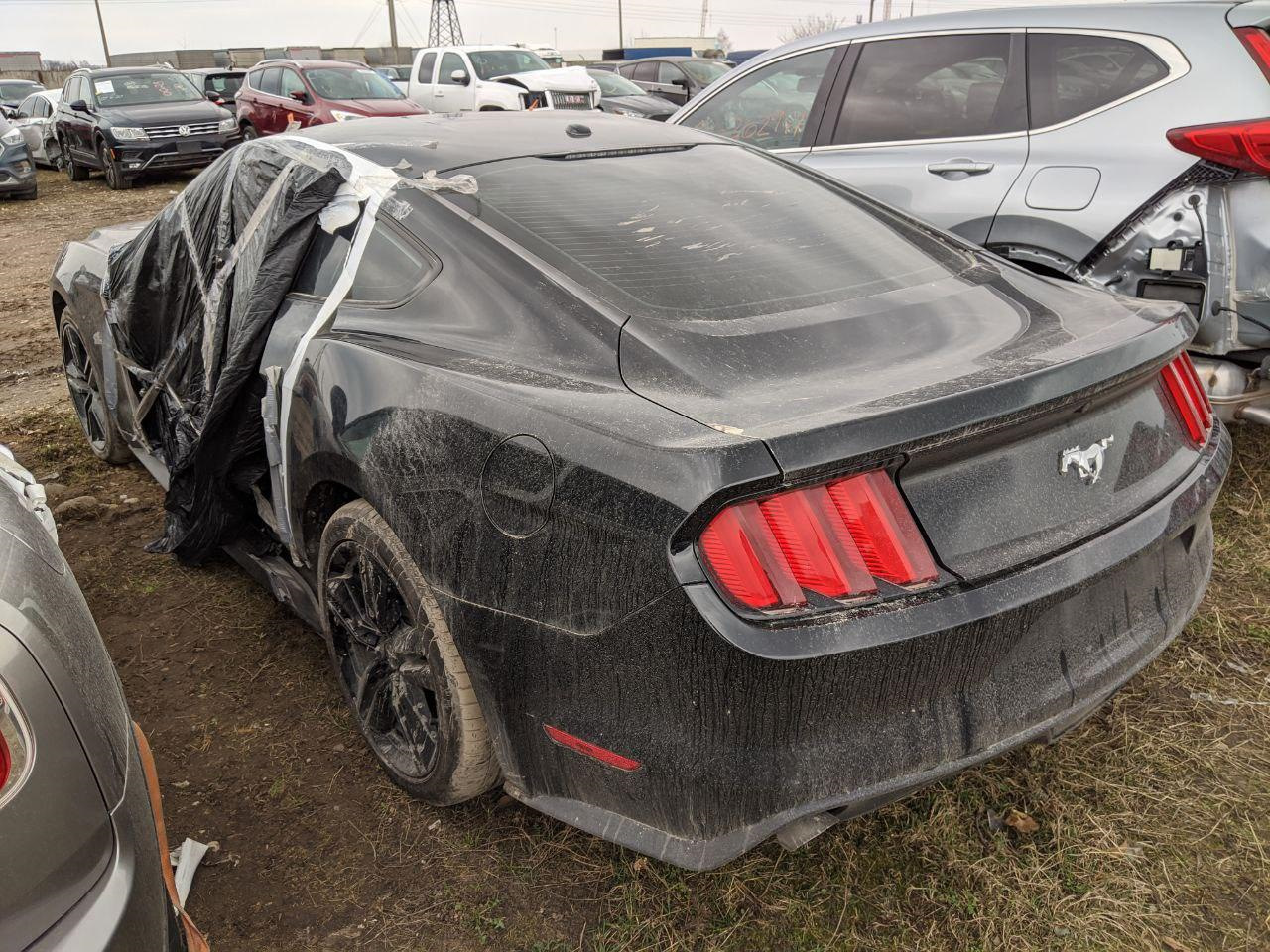 Растаможка и забираю авто с СВХ — Ford Mustang (6G), 2,3 л, 2016 года |  покупка машины | DRIVE2