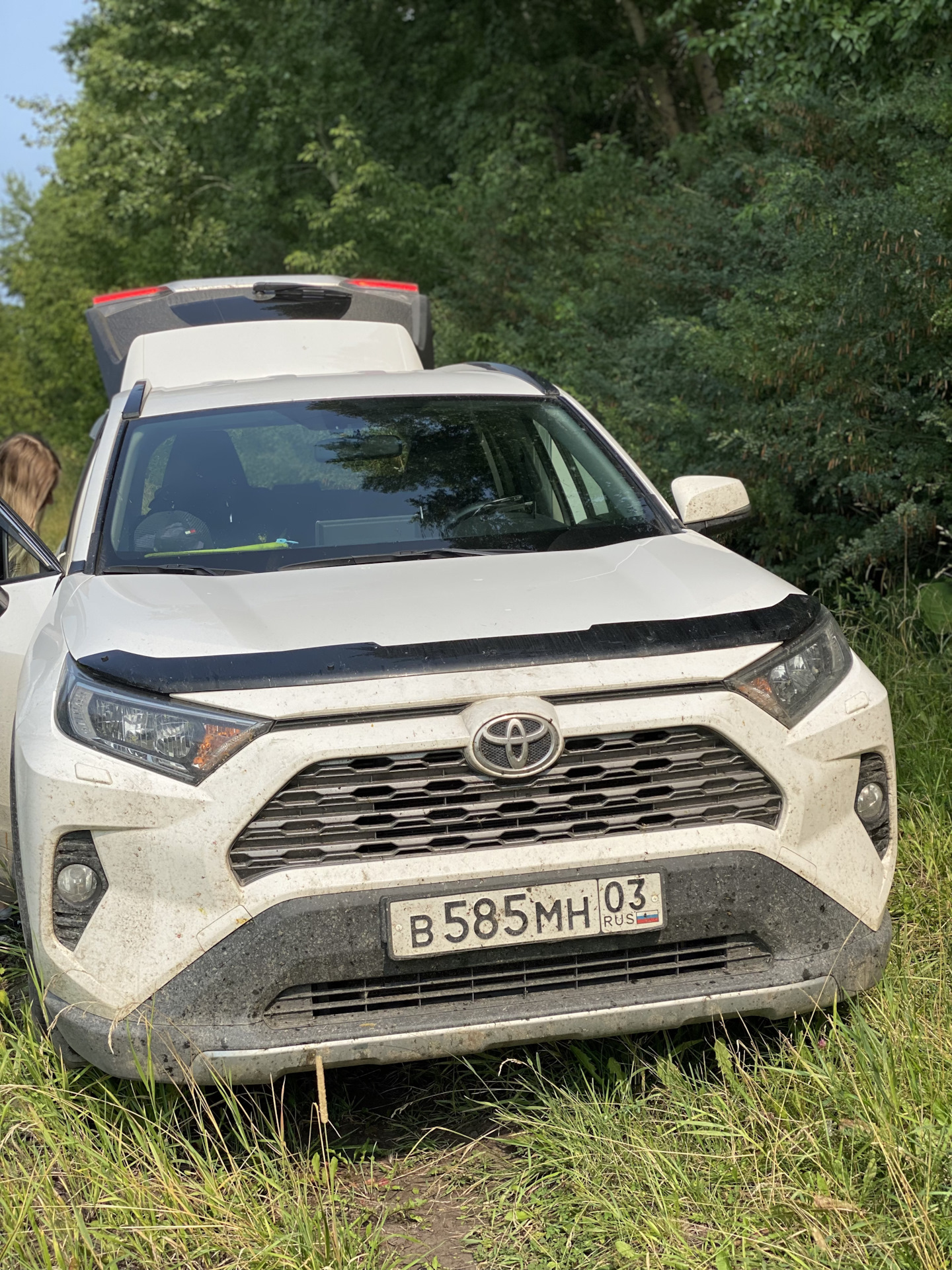 Поездка на Алтай — Toyota RAV4 (5G), 2 л, 2019 года | путешествие | DRIVE2