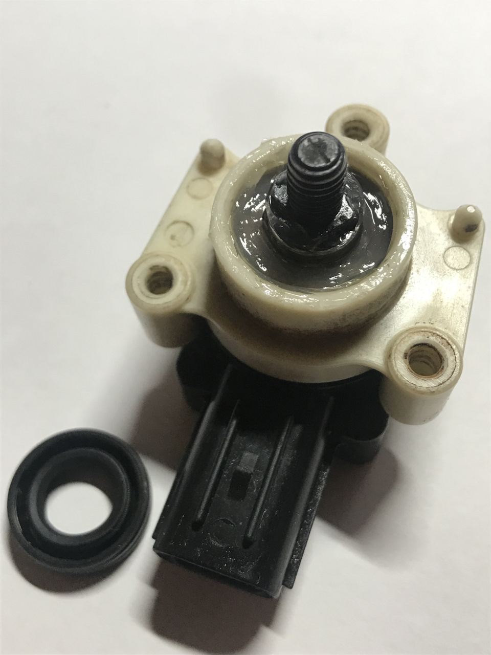 Фото в бортжурнале Subaru Outback (BP)
