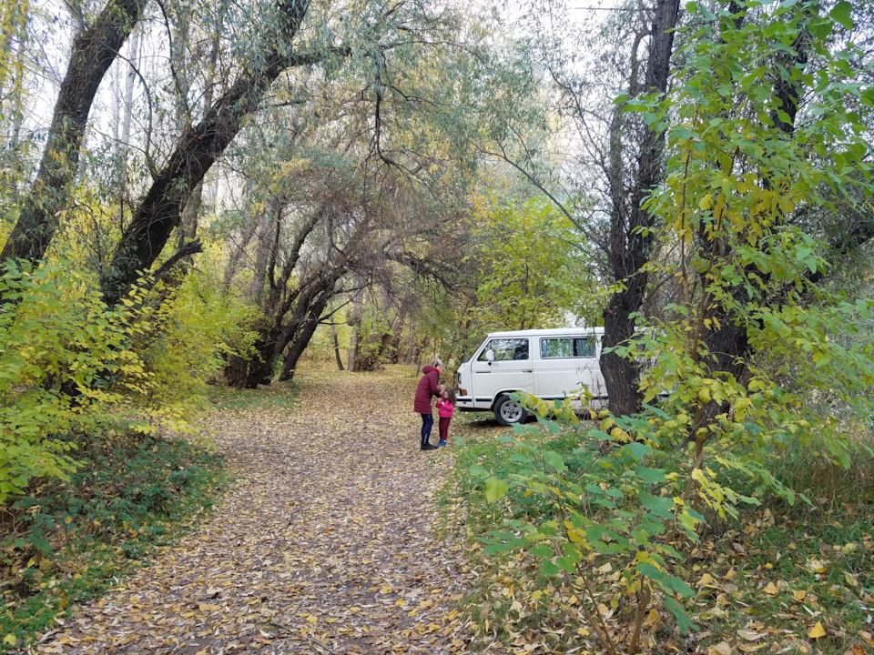 Фото в бортжурнале Volkswagen Caravelle (T3)